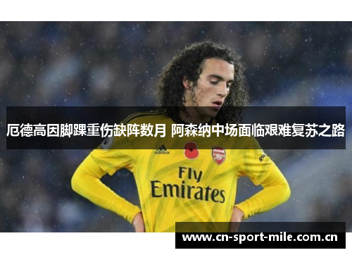 厄德高因脚踝重伤缺阵数月 阿森纳中场面临艰难复苏之路 厄德高因脚踝重伤缺阵数月 阿森纳中场面临艰难复苏之路
